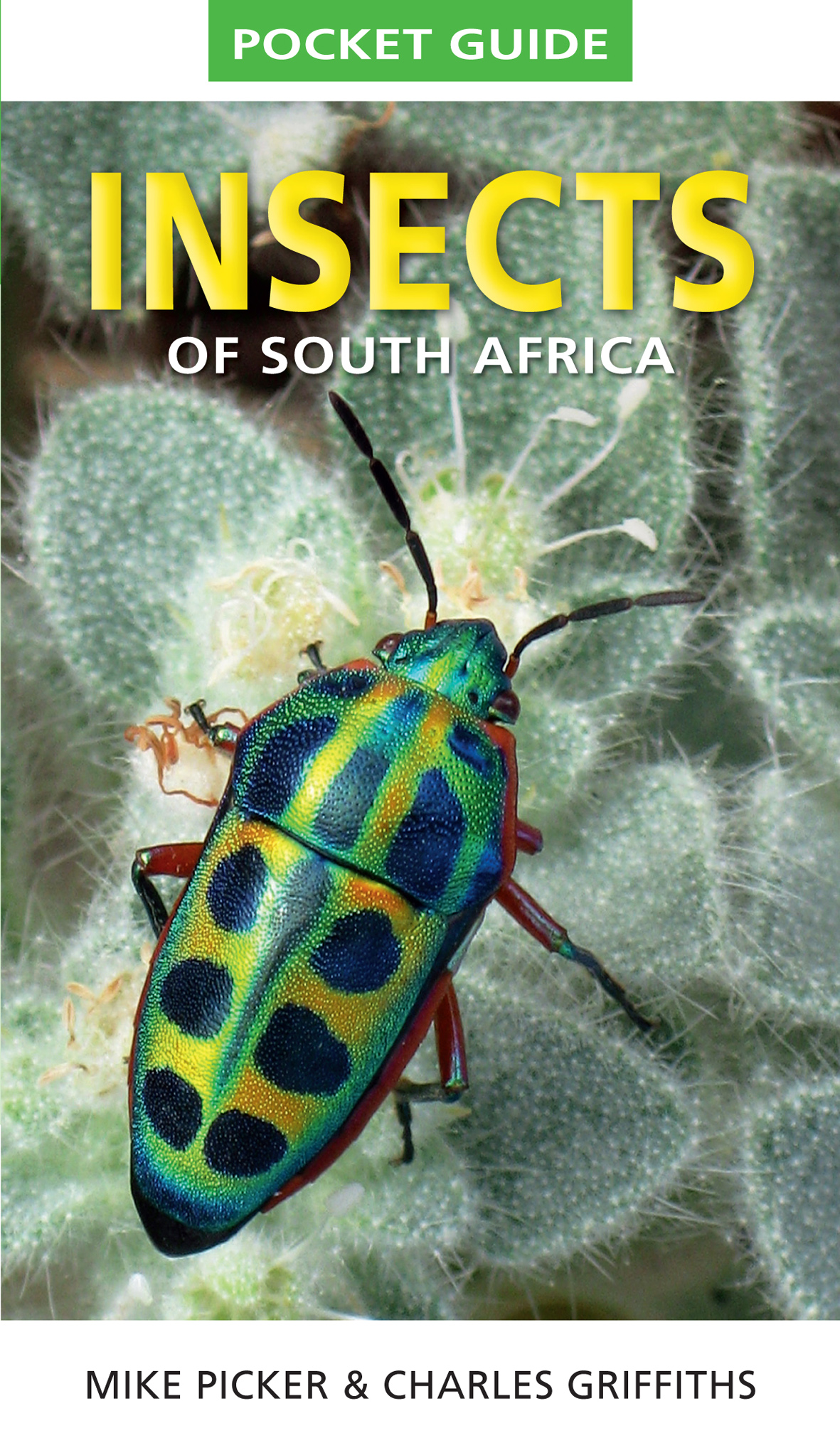 Insects of South Africa Penguin Random House South Africa